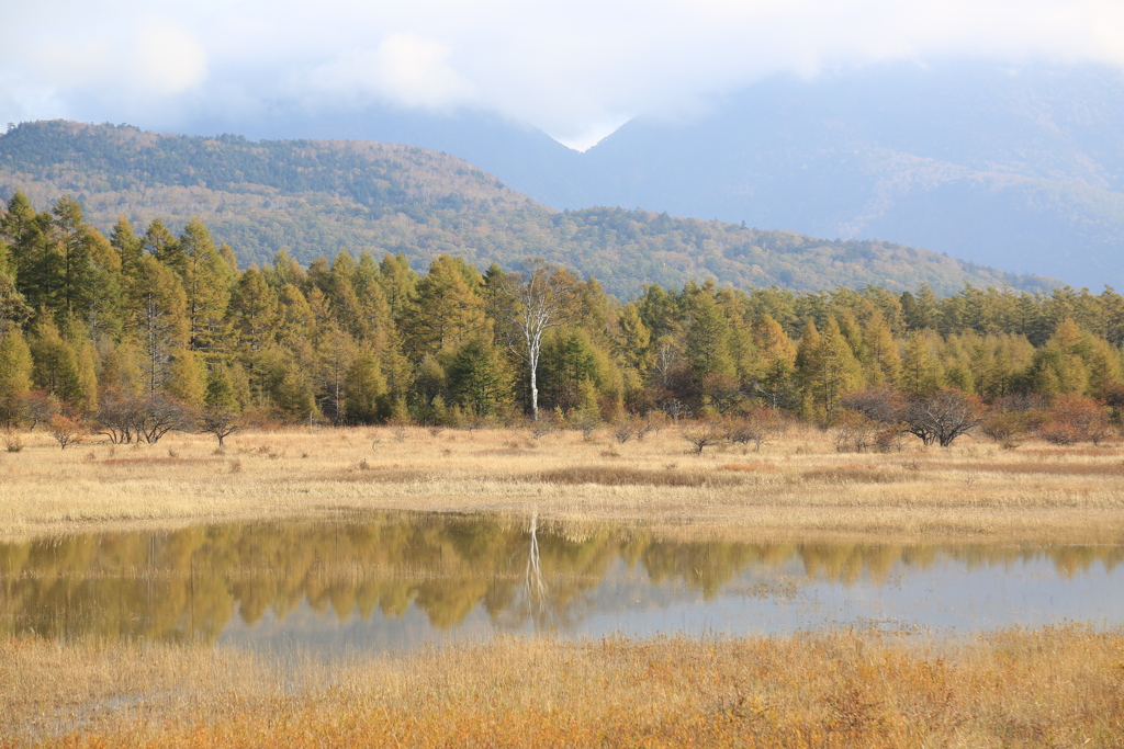 小田代湖