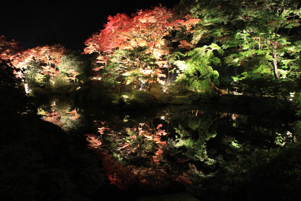 日光の紅葉