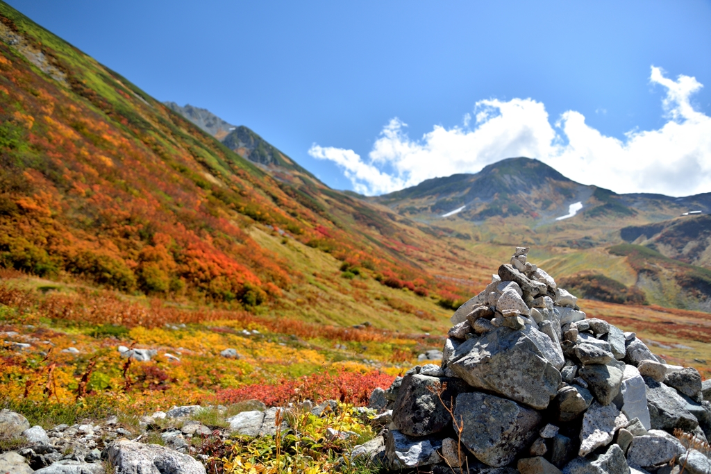 fall colors