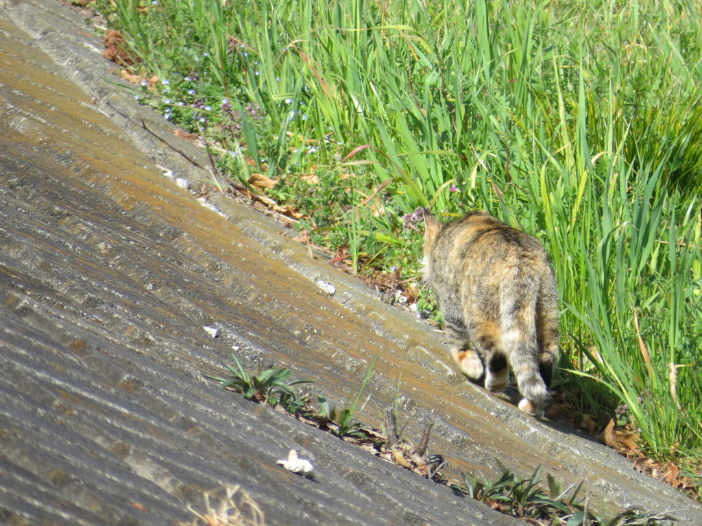 どこいくん？