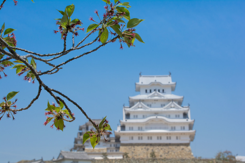 また一年後に・・・