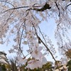 春の隙間に天守閣