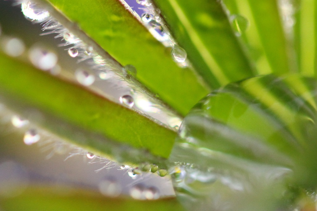 雨の公園で