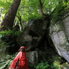 仏の棲む森