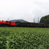 茶畑の赤い汽車
