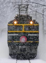 豪雪に負けず