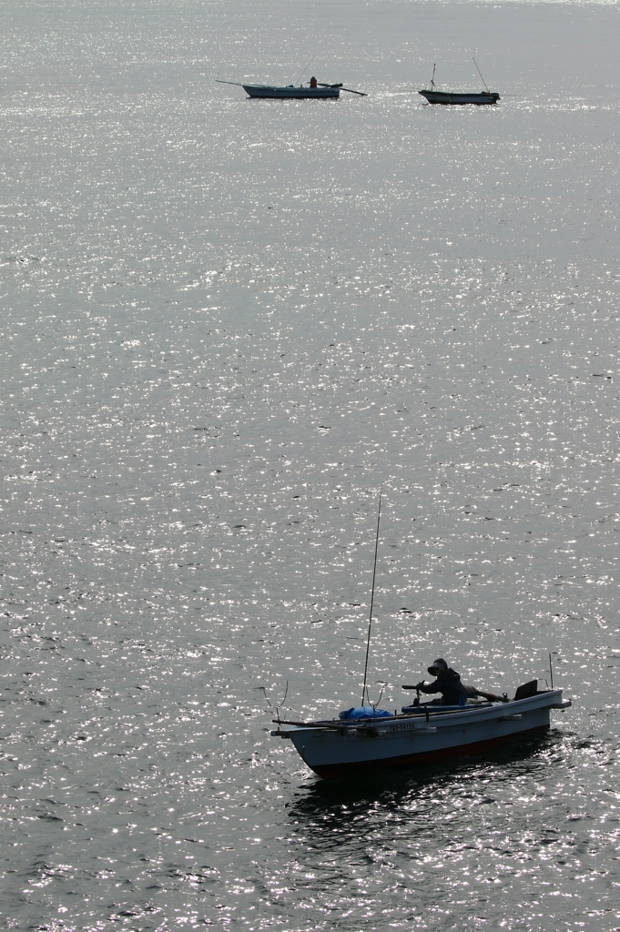 海しごと