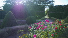 西日の樹芸公園