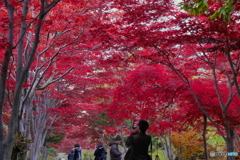 札幌市 平岡樹芸センター