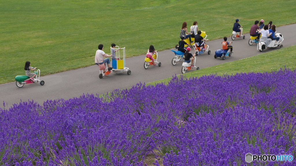 ラベンダー薫るファミリー