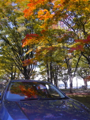 フォール in 札幌