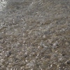 沖縄　海