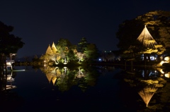 兼六園ライトアップ