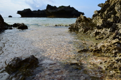 沖縄　海　サンゴ