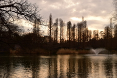 井の頭公園