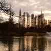 井の頭公園