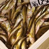 近江町市場の魚