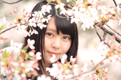 葛城友賀ちゃん