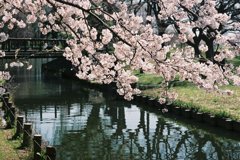 水辺でひと息