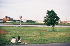 土手の風景
