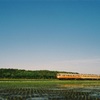 皐月の風を受けて