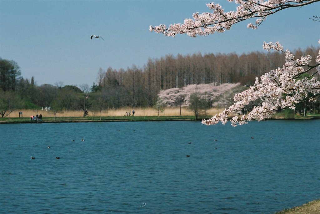 あちらとこちら