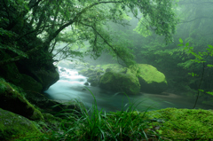 菊池渓谷