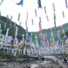 杖立温泉　鯉のぼり2