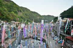 杖立温泉　鯉のぼり