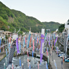 杖立温泉　鯉のぼり