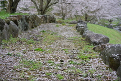 150404_0119