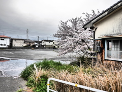 どんより天気