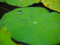 P1012002
