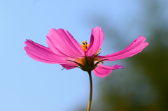P9100739