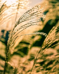 IMG_20191112_184854_528