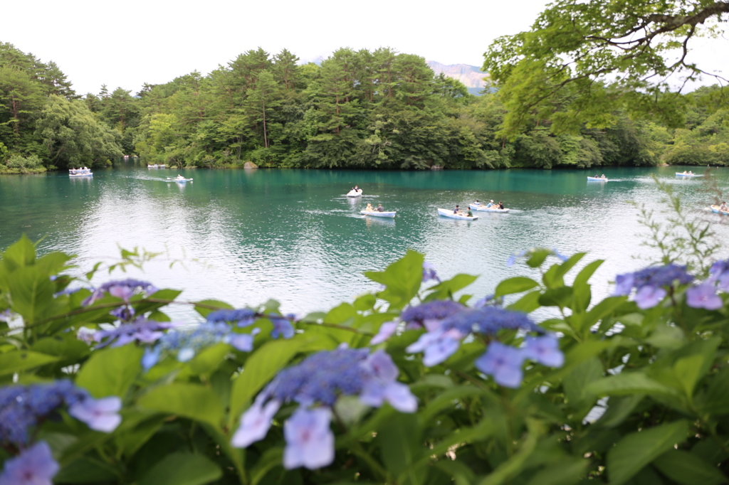 福島県　五色沼にて