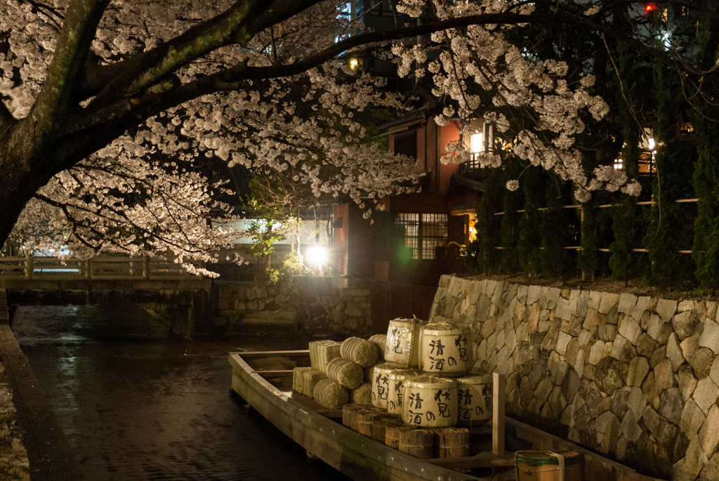 京都の夜桜