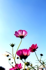 手紙には何も書かないで。