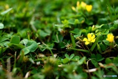 My Dear… #1
