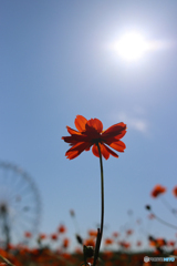 誰かが見上げた空の向こうで。#3
