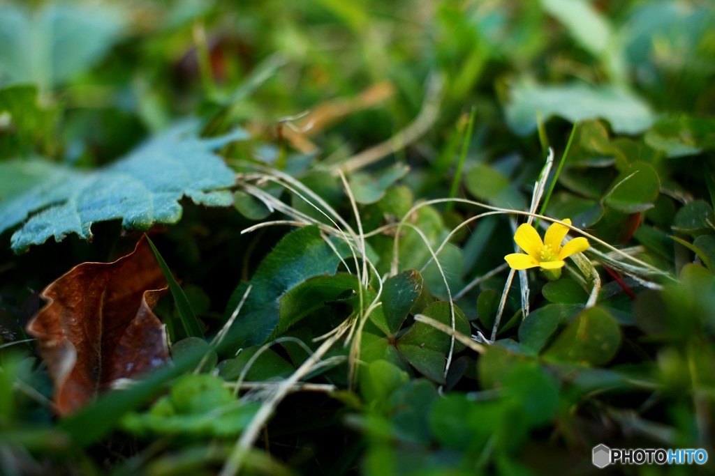 My Dear… #2