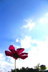 終わりのない夢を。