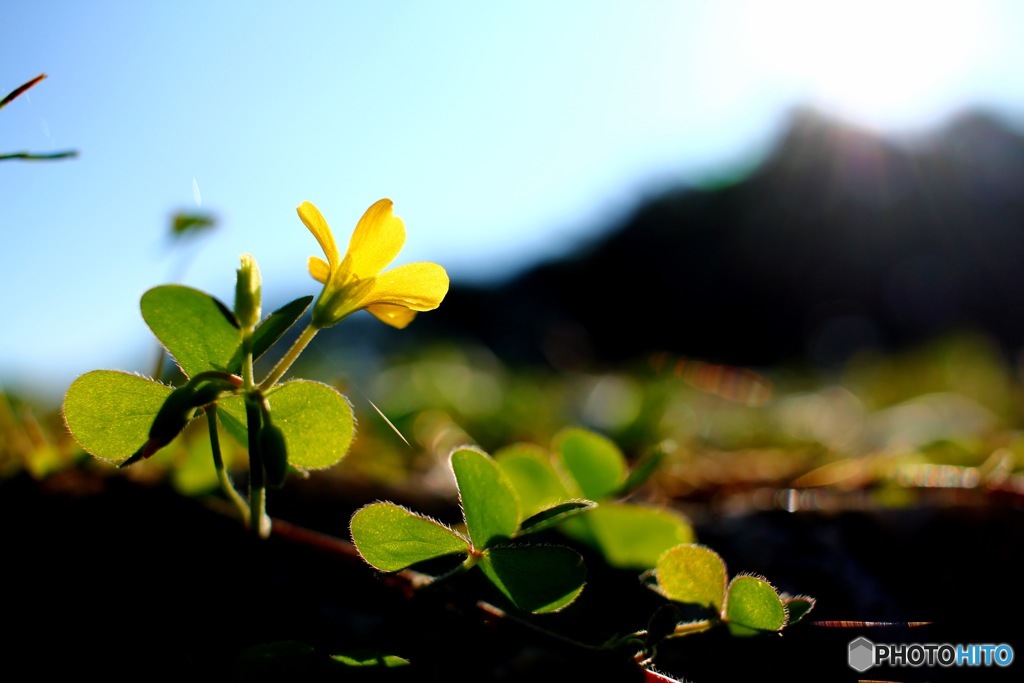 Life is Light. #1