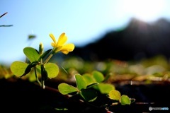 Life is Light. #1