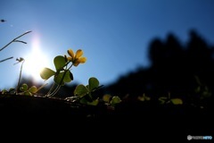 Life is Light. #2