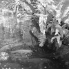 魚影の群れ