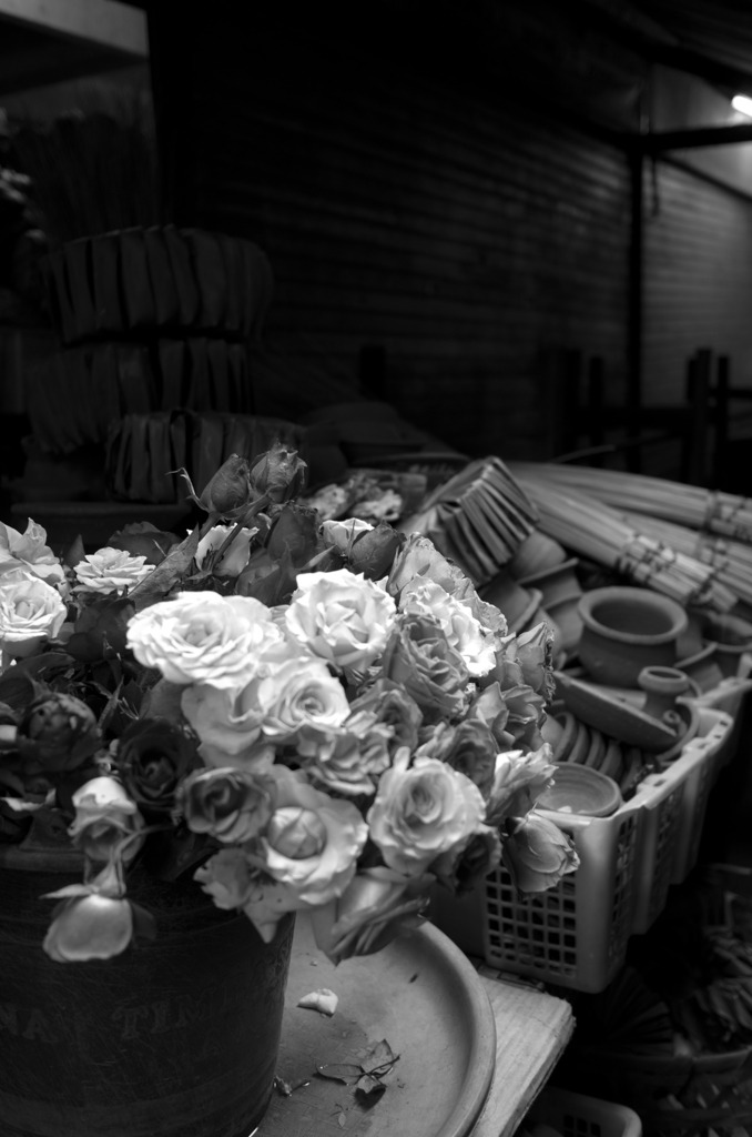 flower in market