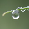 雨上がり…
