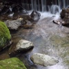 小川にて…