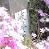 岐阜の芝桜